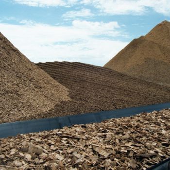 تسمه نقاله چوب، خمیر و کاغذ