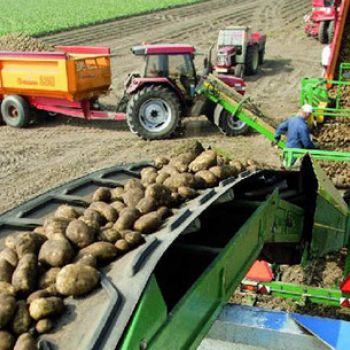 تسمه نقاله کشاورزی